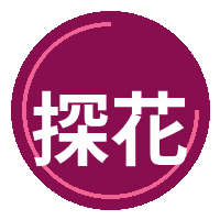 探花